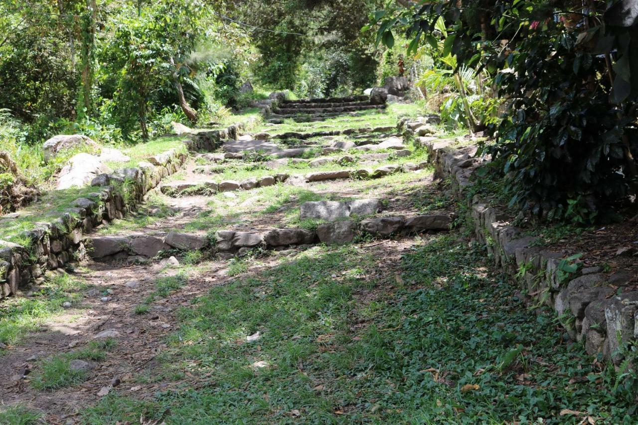 Llactapata Lodge Overlooking Machu Picchu - Camping - Restaurant Salcantay Exteriör bild